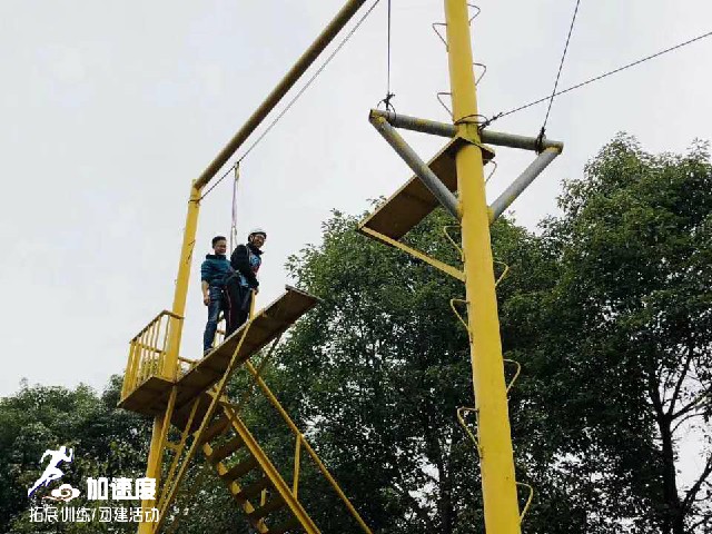 12.25多學教育&睿智達教育聯合拓展